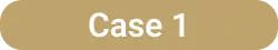 ケース01